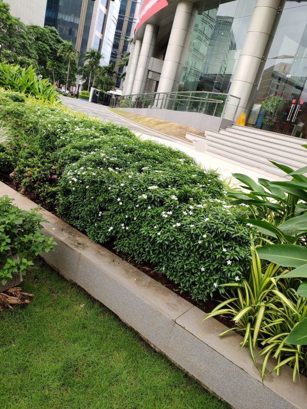 Industrial Landscaping Service detail