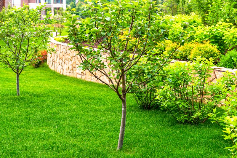 Enhances curb appeal and property value