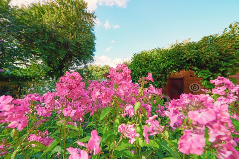 Improves the health and longevity of your plants
